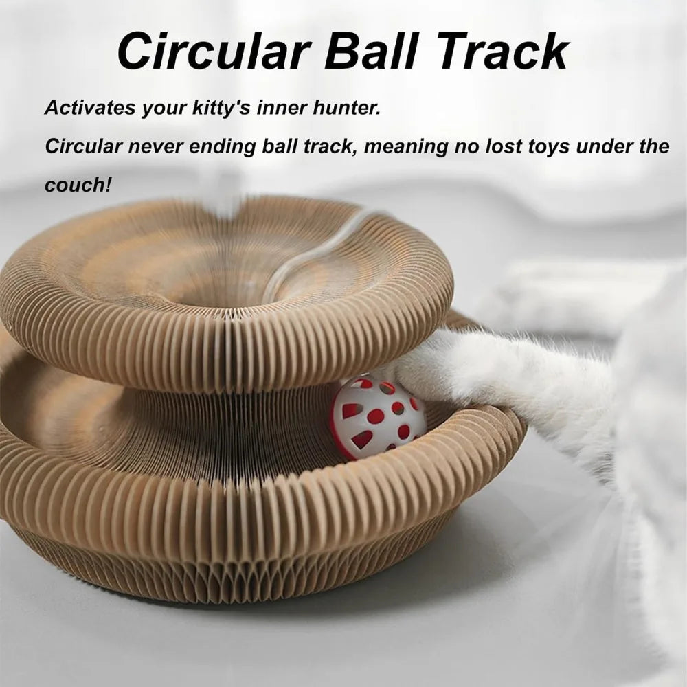 Interactive Scratcher Cat Toy