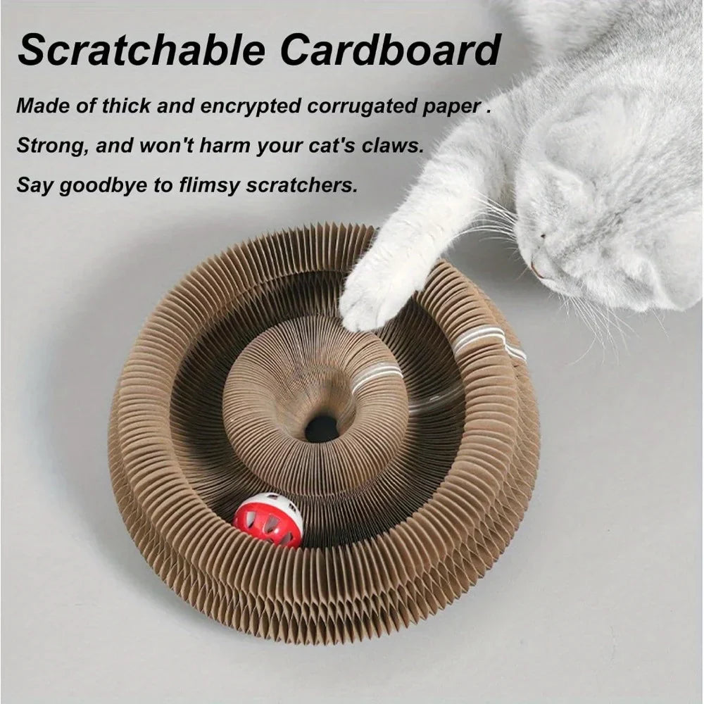 Interactive Scratcher Cat Toy