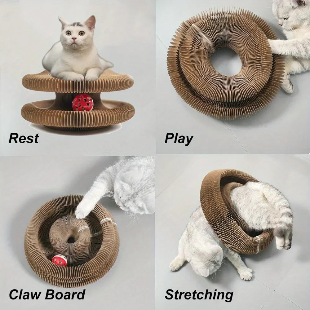 Interactive Scratcher Cat Toy
